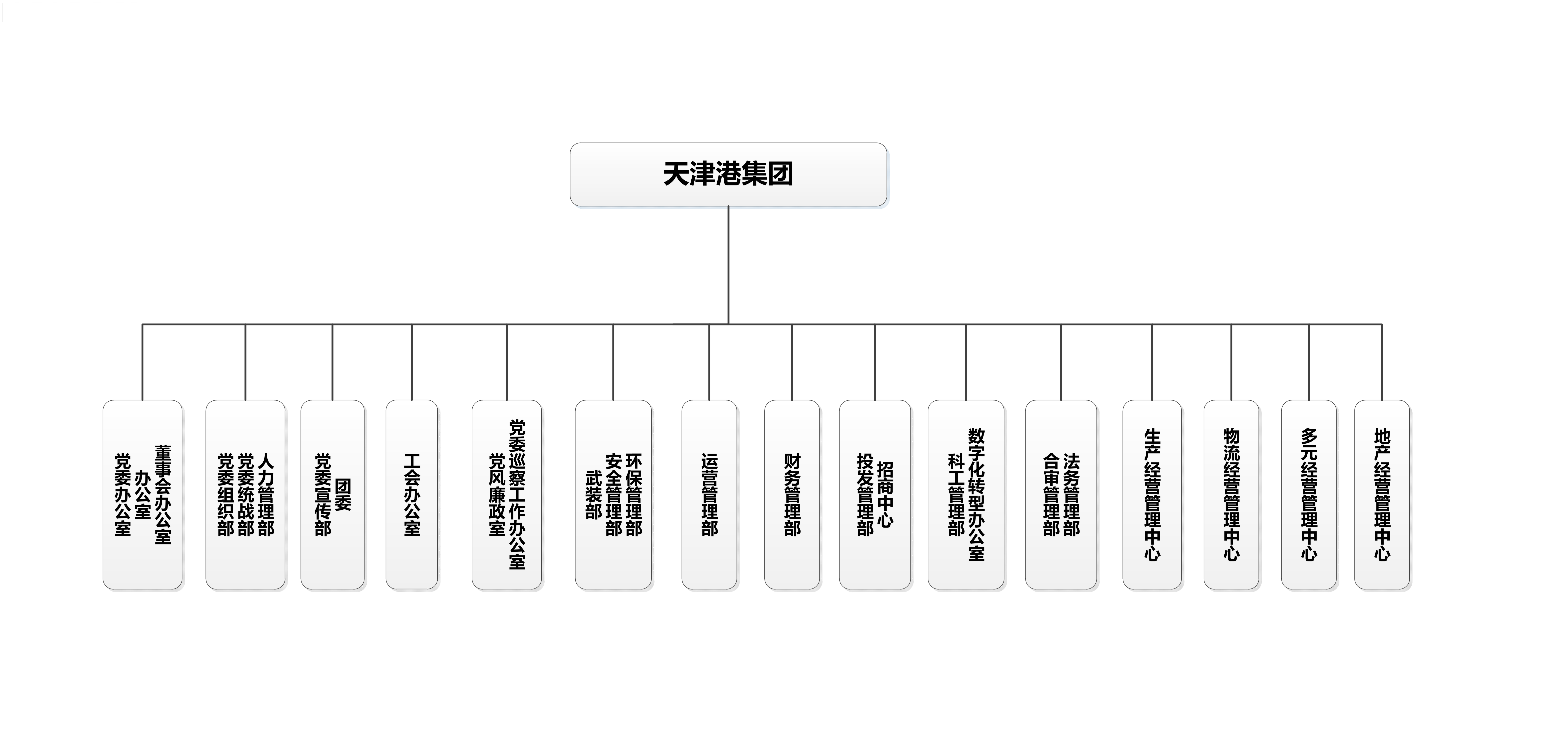 集团公司组织架构图20251231(1)_01(1).png